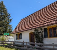 Flechten und Kiefernwälder