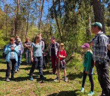 Flechten und Kiefernwälder