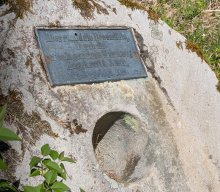 Flechten und Kiefernwälder