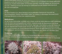 Flechten und Kiefernwälder