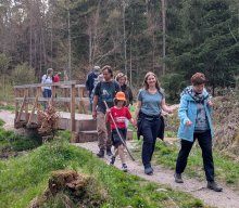 Flechten und Kiefernwälder