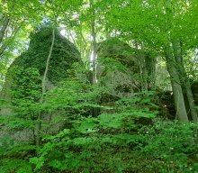 Wanderung &amp; Dampfbahn 2025
