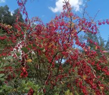 Wanderung Hundsdorf