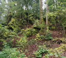 Wanderung Hundsdorf